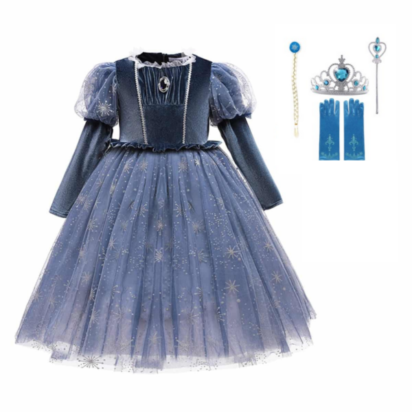 Donkerblauw Frozen Elsa jurk met accessoires