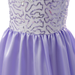 Frozen Elsa prinsessenjurk - paars + toverstaf & tiara