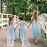 Frozen Elsa Deluxe prinsessenjurk + accessoires