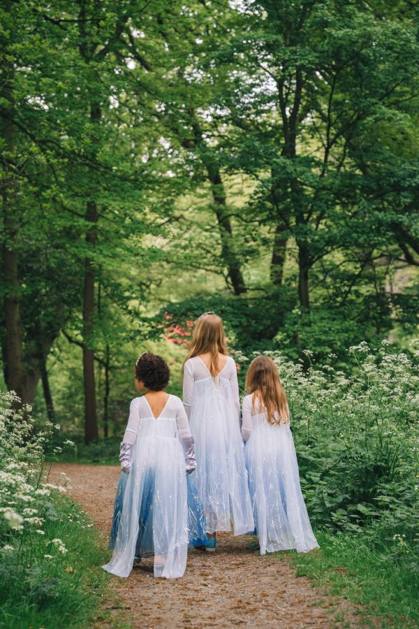 Elsa jurk + accessoires - ijskristallen prinsessenjurk - Afbeelding 6
