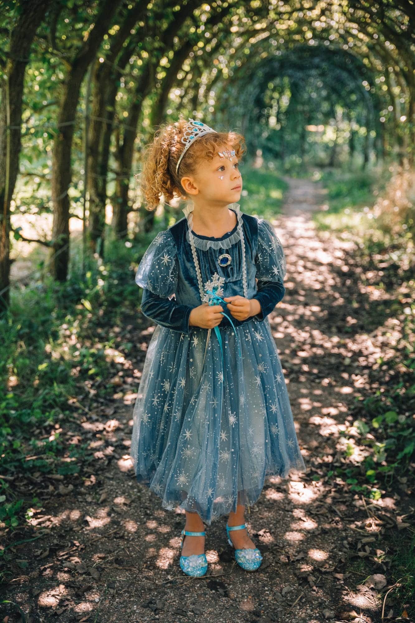 Frozen Elsa jurk + prinsessen accessoires - Afbeelding 12