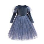 Frozen Elsa jurk + prinsessen accessoires