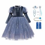 Frozen Elsa jurk + prinsessen accessoires