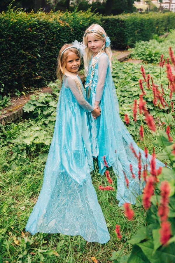 Frozen Elsa jurk - kroon, toverstaf, vlecht - Afbeelding 4