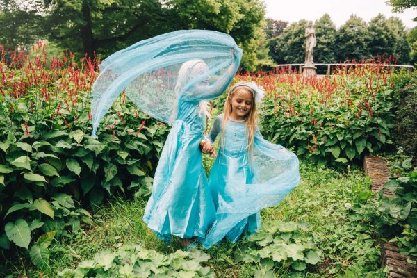 Frozen Elsa jurk - kroon, toverstaf, vlecht - Afbeelding 2