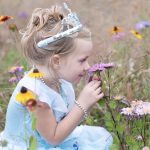 Tiara - kroon voor bij je prinsessenjurk