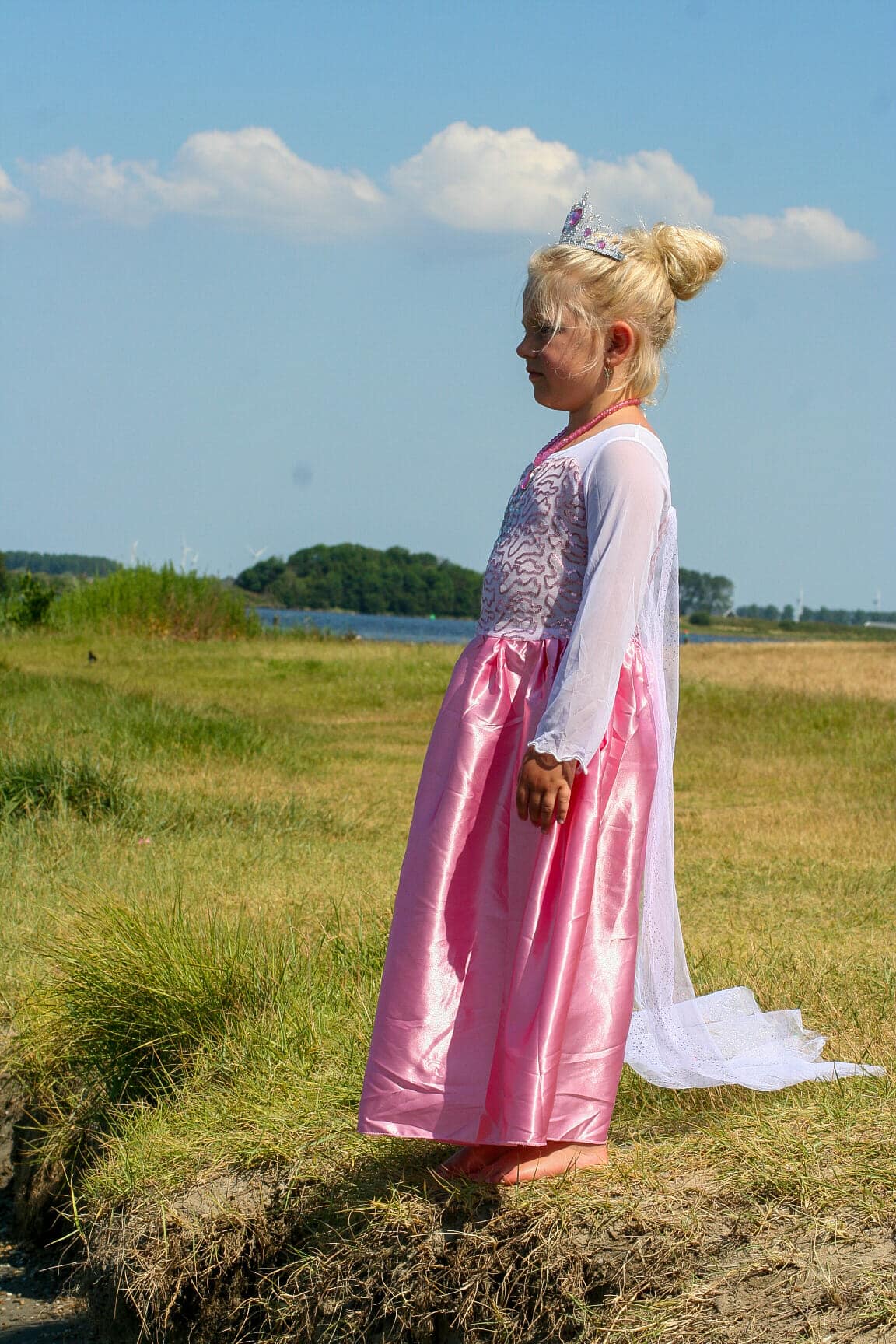 Roze prinsessenjurk met lange sleep + accessoires - Afbeelding 19