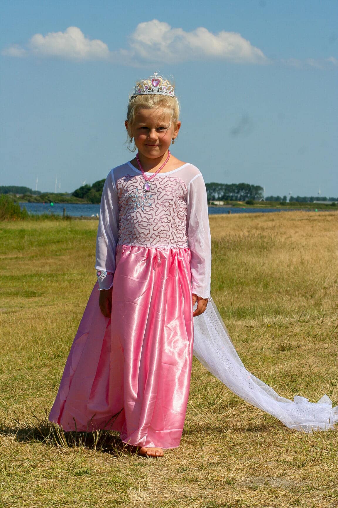 Roze prinsessenjurk met lange sleep + accessoires - Afbeelding 18