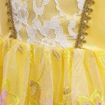 Belle and the Beast jurk + Accessoires