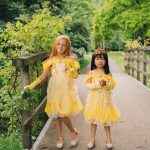 Belle and the Beast jurk + Accessoires