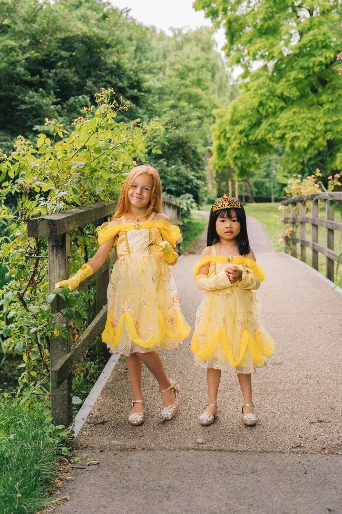 Belle and the Beast jurk + Accessoires - Afbeelding 2