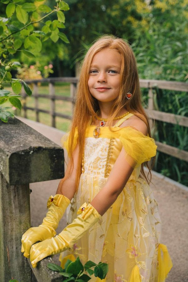 Belle and the Beast jurk + Accessoires - Afbeelding 3