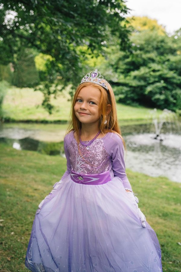 Compleet Frozen Elsa paars pakket - jurk + prinsessenschoenen + accessoires - Afbeelding 4