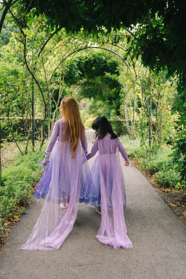 Compleet Frozen Elsa paars pakket - jurk + prinsessenschoenen + accessoires - Afbeelding 3