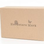 Prinsessen schoenen - Verkleedschoenen - Zilver