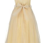 Gouden prinsessenjurk +  accessoires