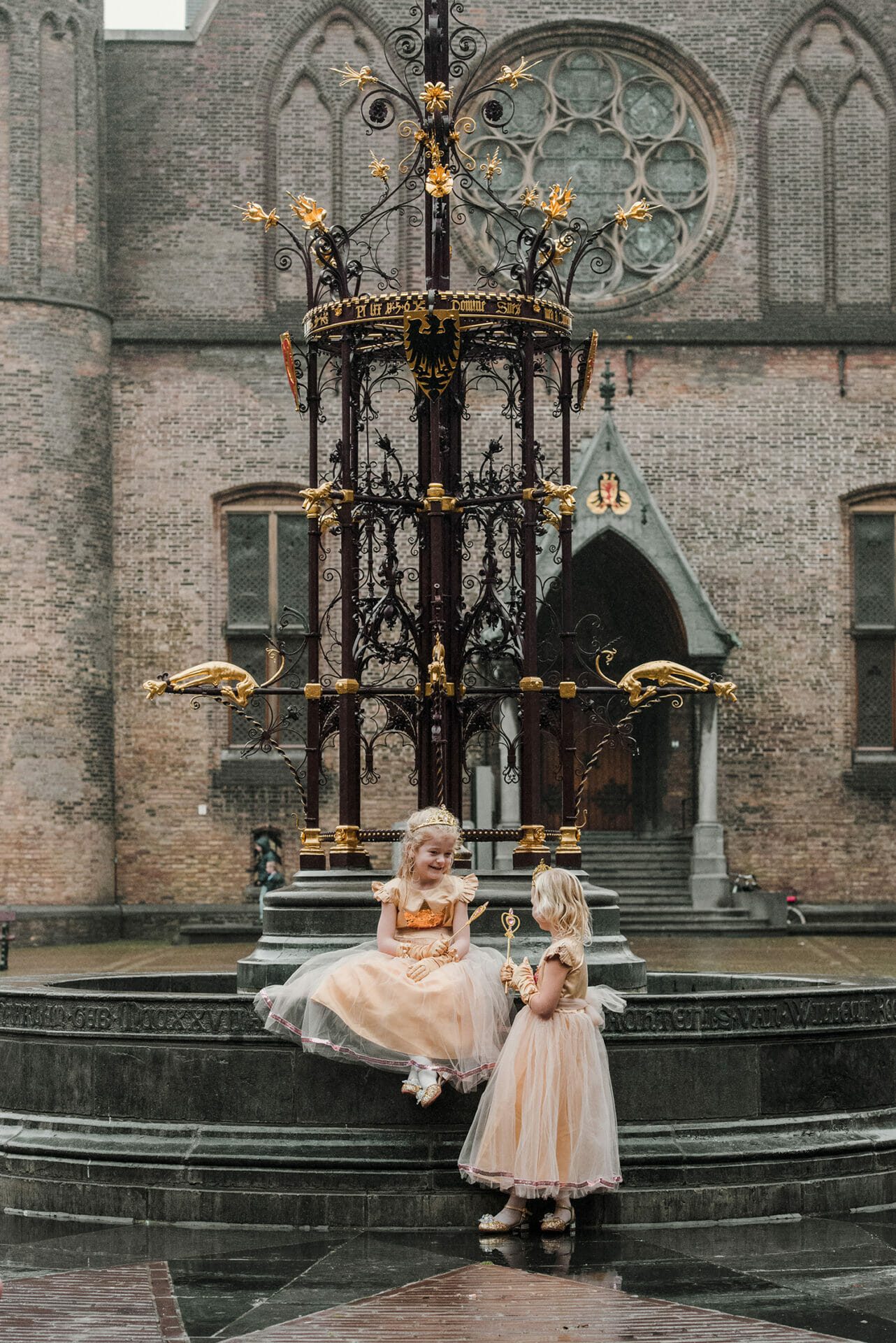 Roze prinsessenjurk + accessoires - Afbeelding 49