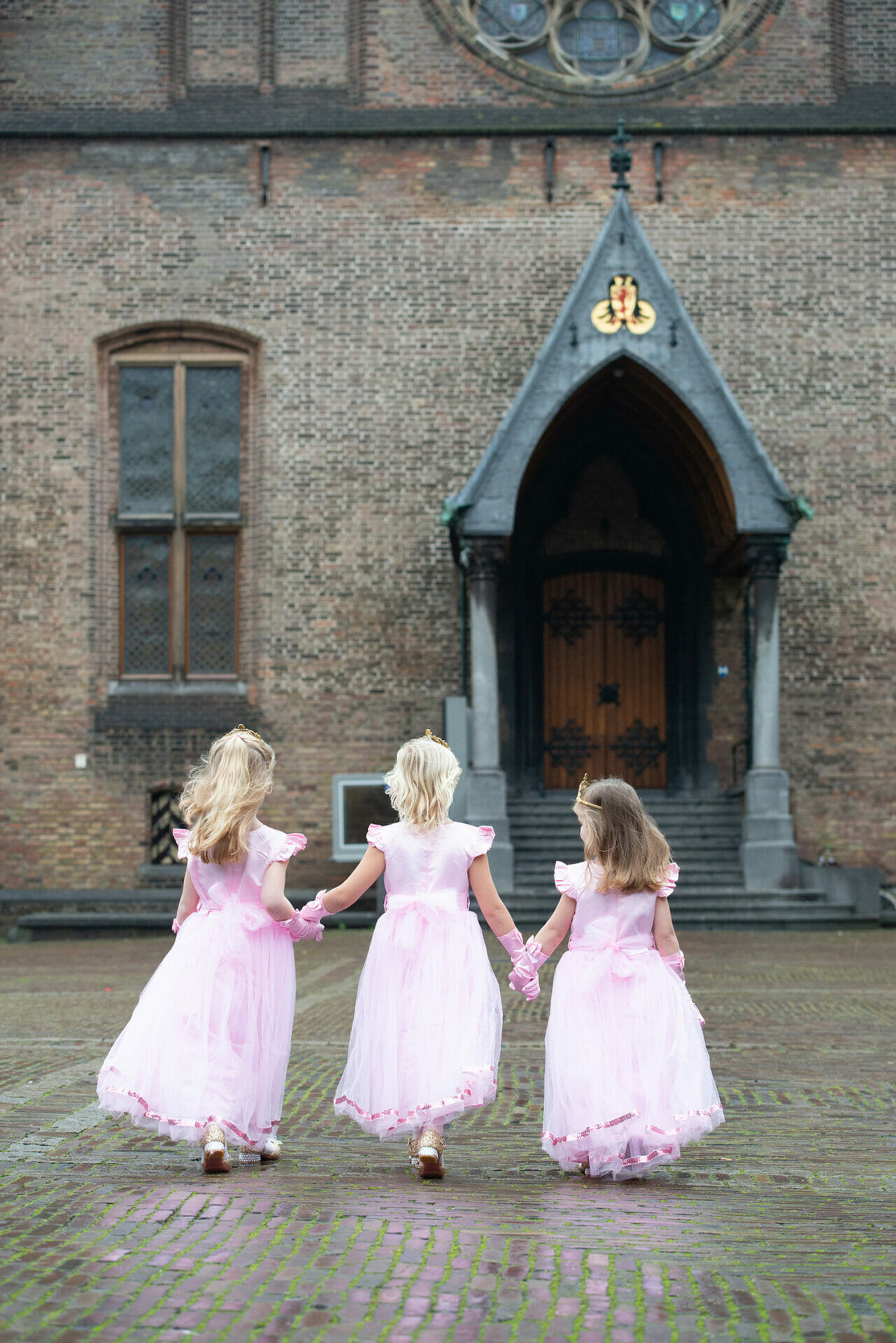 Roze prinsessenjurk + accessoires - Afbeelding 3