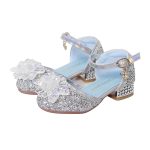 Prinsessen schoenen + kroon + toverstaf - verkleedschoenen meisje - zilver