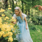 Frozen Elsa prinsessenjurk + accessoires