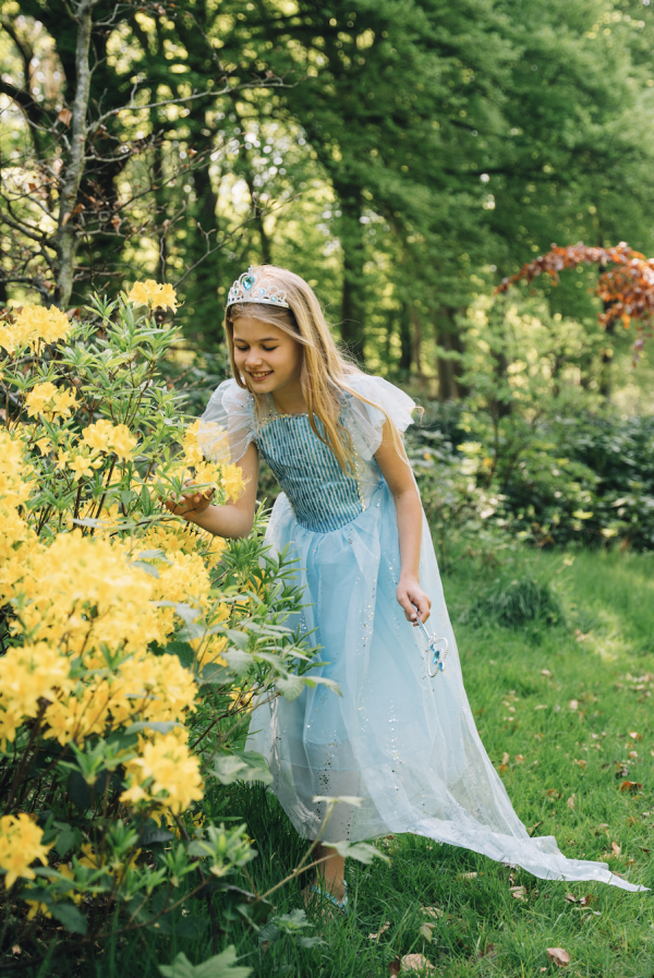 Frozen Elsa prinsessenjurk + accessoires - Afbeelding 7