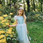 Frozen Elsa prinsessenjurk + accessoires