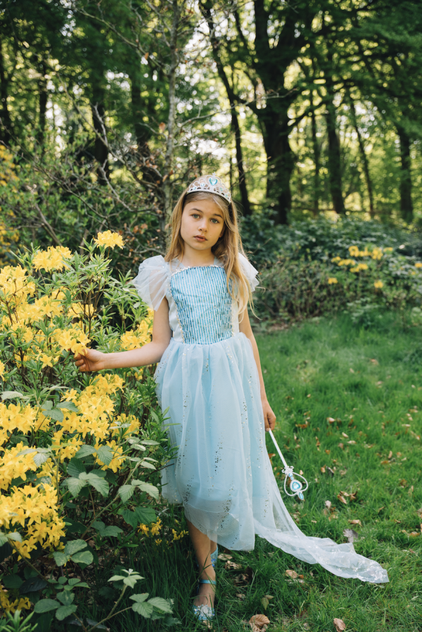 Frozen Elsa prinsessenjurk + accessoires - Afbeelding 2