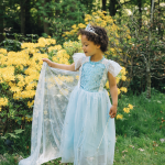 Frozen Elsa prinsessenjurk + accessoires