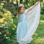 Frozen Elsa prinsessenjurk + accessoires