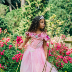 Doornroosje jurk vlinders + accessoires