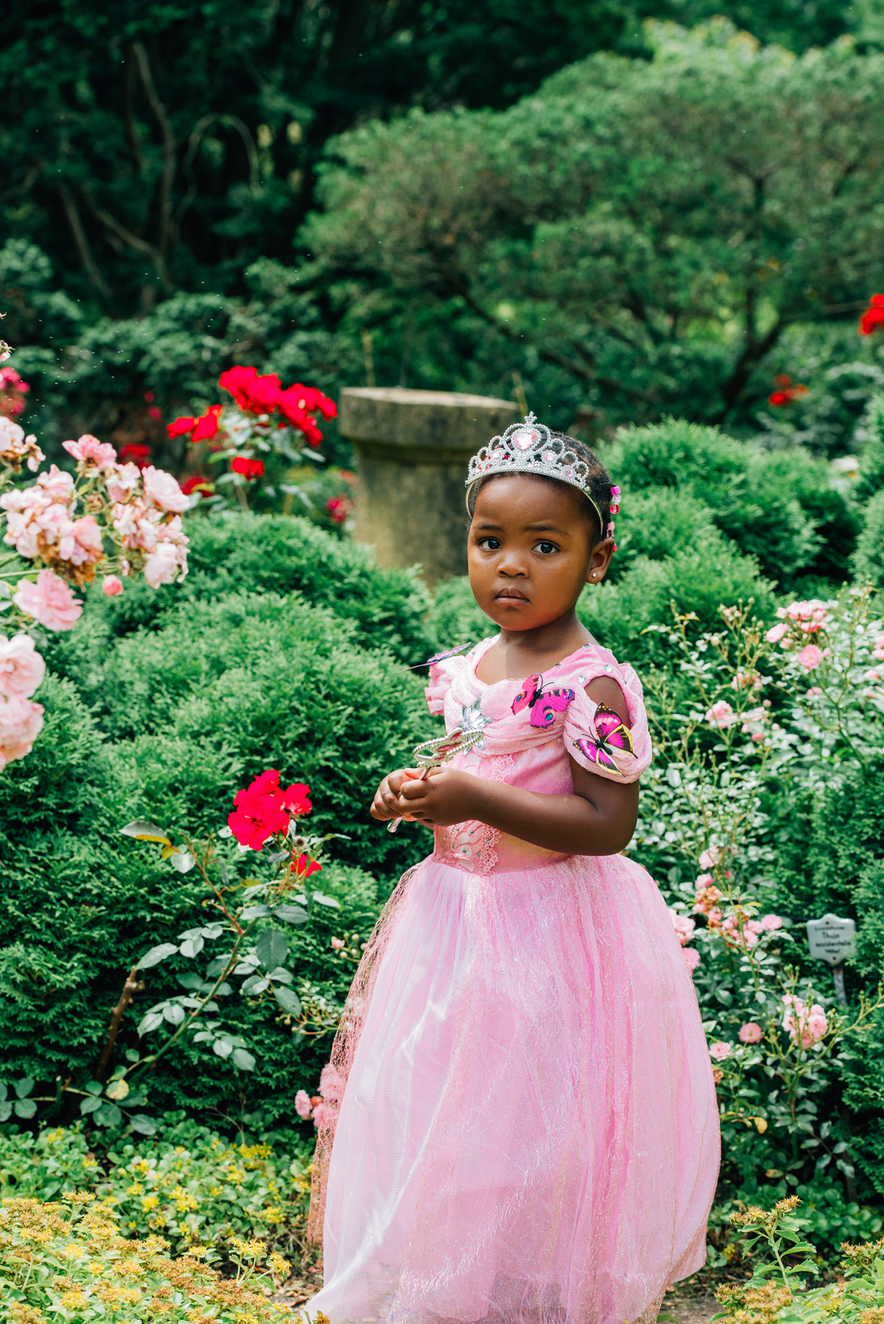 Doornroosje jurk vlinders + accessoires - Afbeelding 5