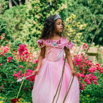 Doornroosje jurk vlinders + accessoires