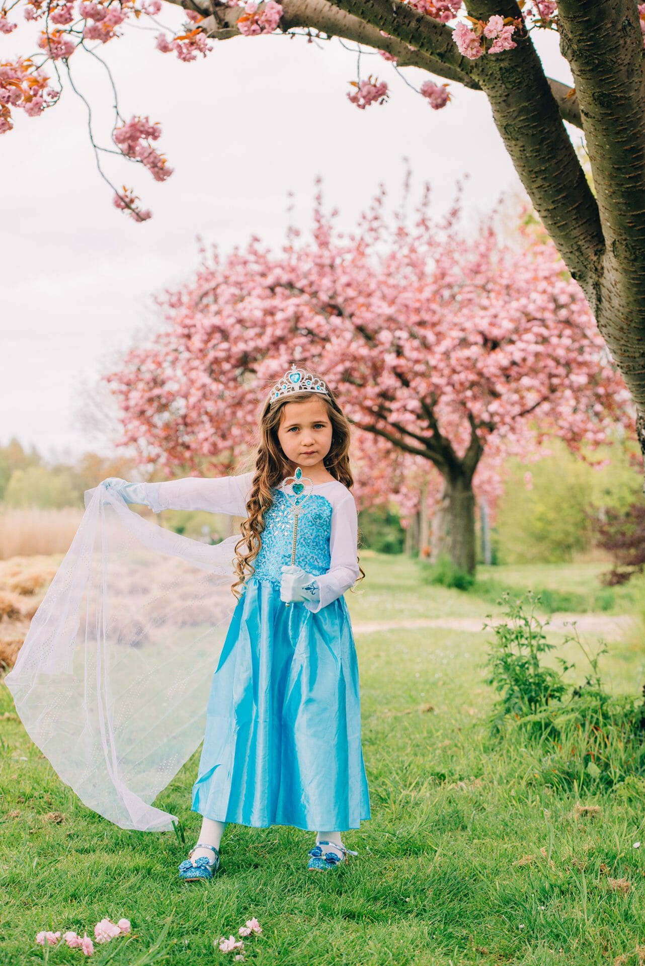 Frozen Elsa - Prinsessenjurk meisje - Roze + Blauwe verkleedjurk + Accessoires - Afbeelding 5