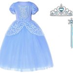 Cinderella jurk + accessoires - Assepoester - Deluxe verkleedjurk