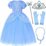 Cinderella jurk + accessoires - Assepoester - Deluxe verkleedjurk