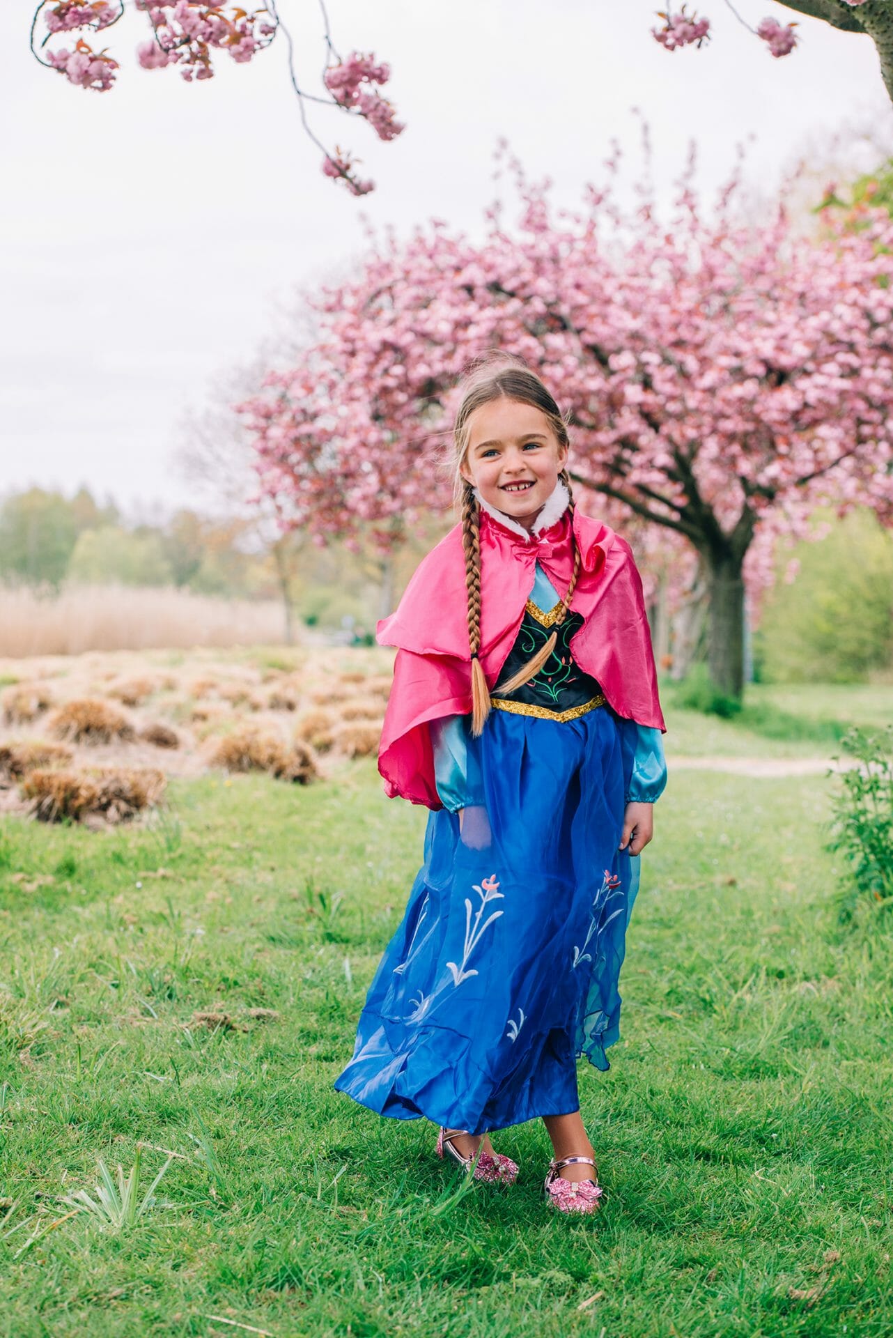 Frozen Anna prinsessenjurk met roze cape - accessoires - Afbeelding 4