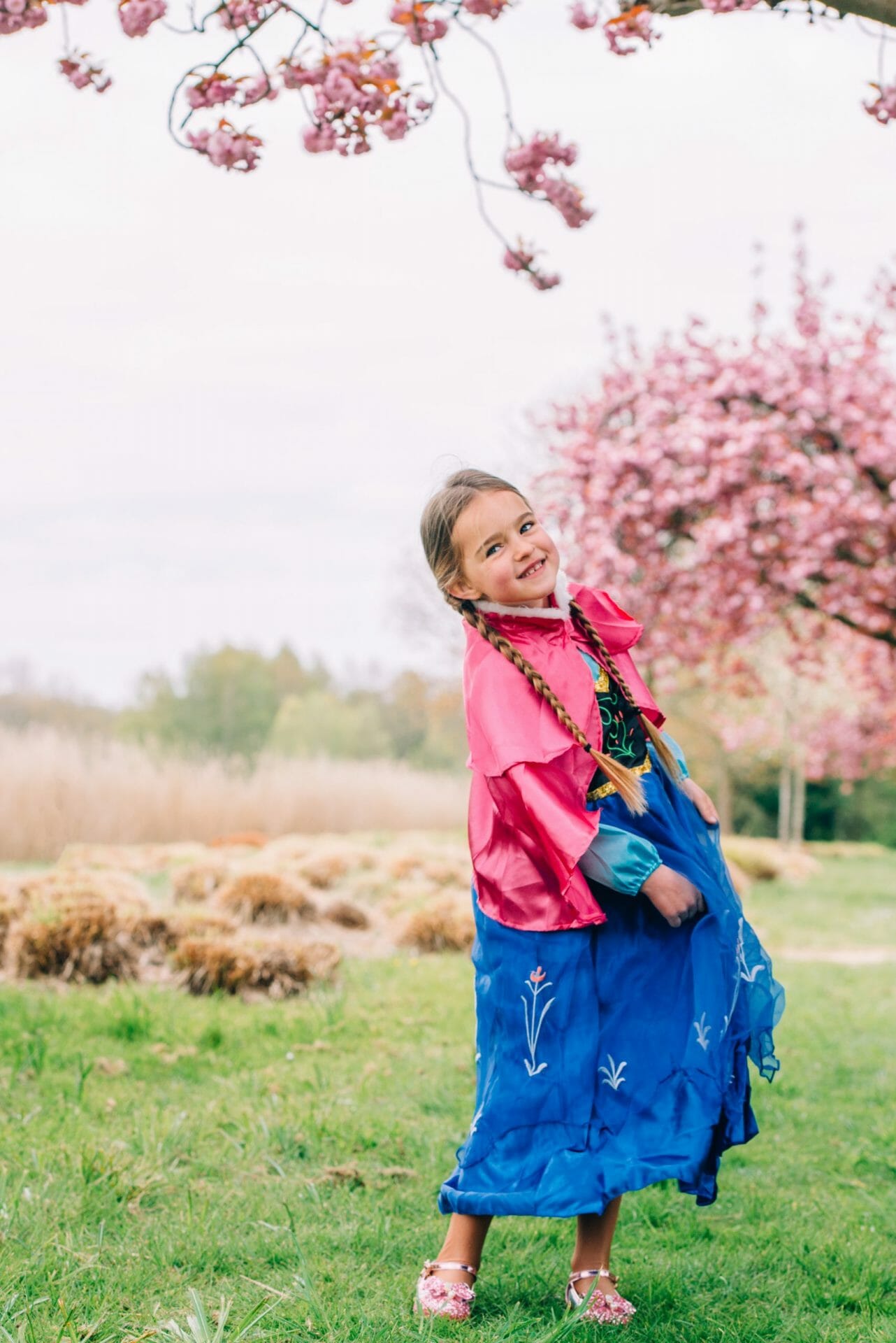 Frozen Anna prinsessenjurk met roze cape - accessoires - Afbeelding 2