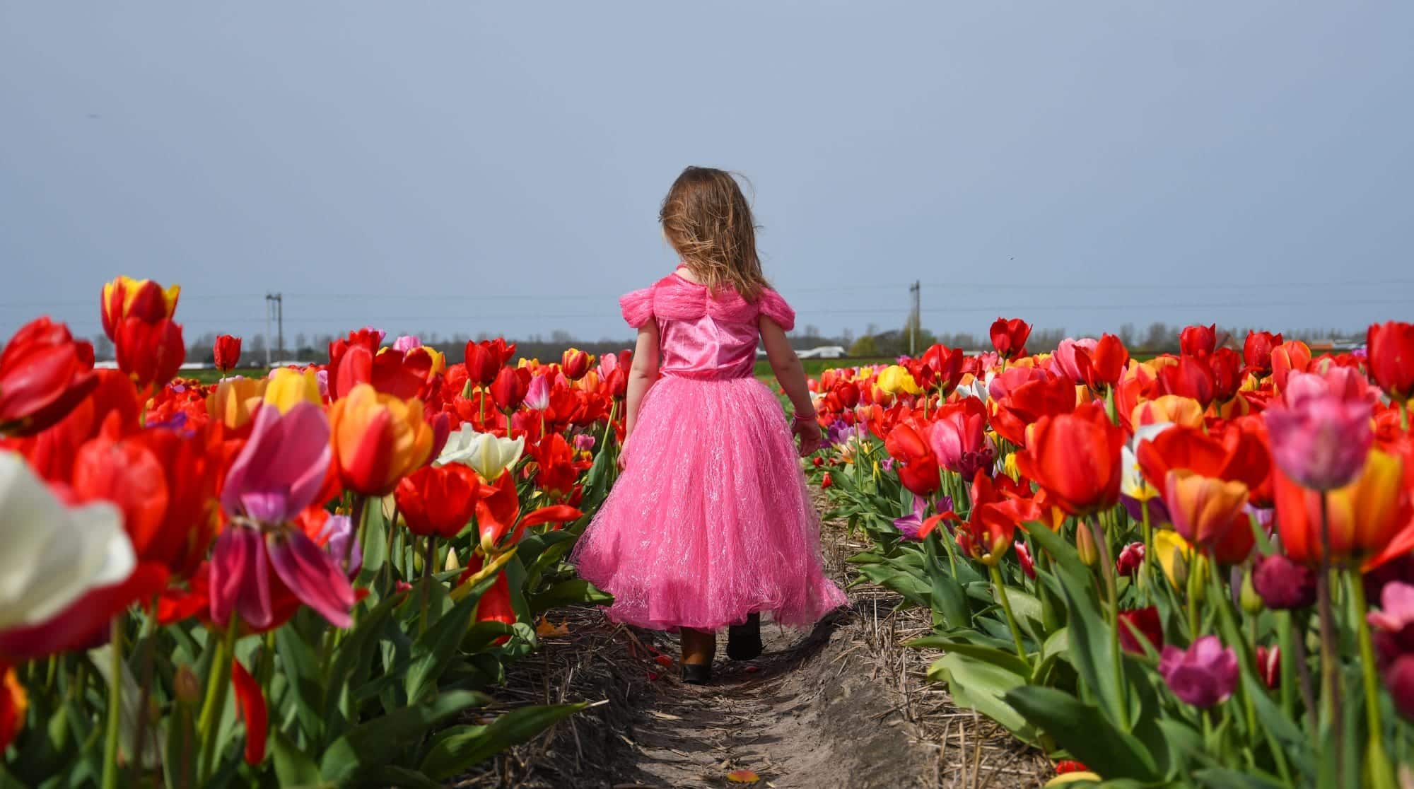 Doornroosje - roze prinsessenjurk vlinders + Kroon + Toverstaf + Handschoenen - Afbeelding 3