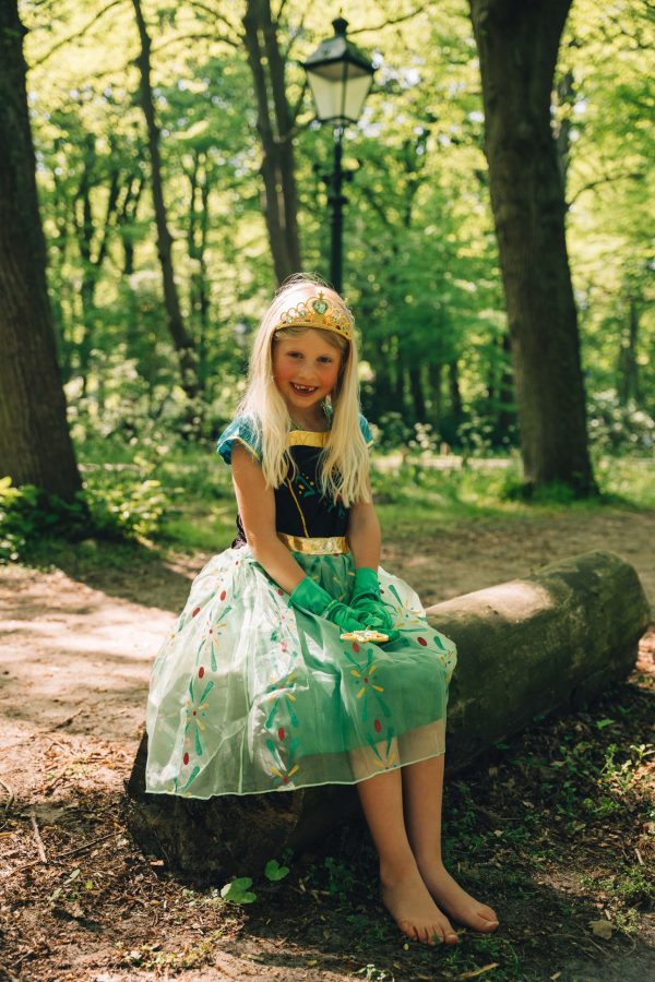 Frozen Elsa + Anna prinsessenjurk + Accessoires - Afbeelding 5
