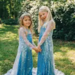 Frozen Deluxe Elsa jurk + accessoires