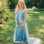 Frozen Deluxe Elsa jurk + accessoires