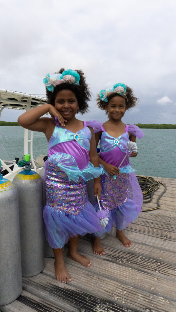 ariel prinsessenjurk met pailletten v1