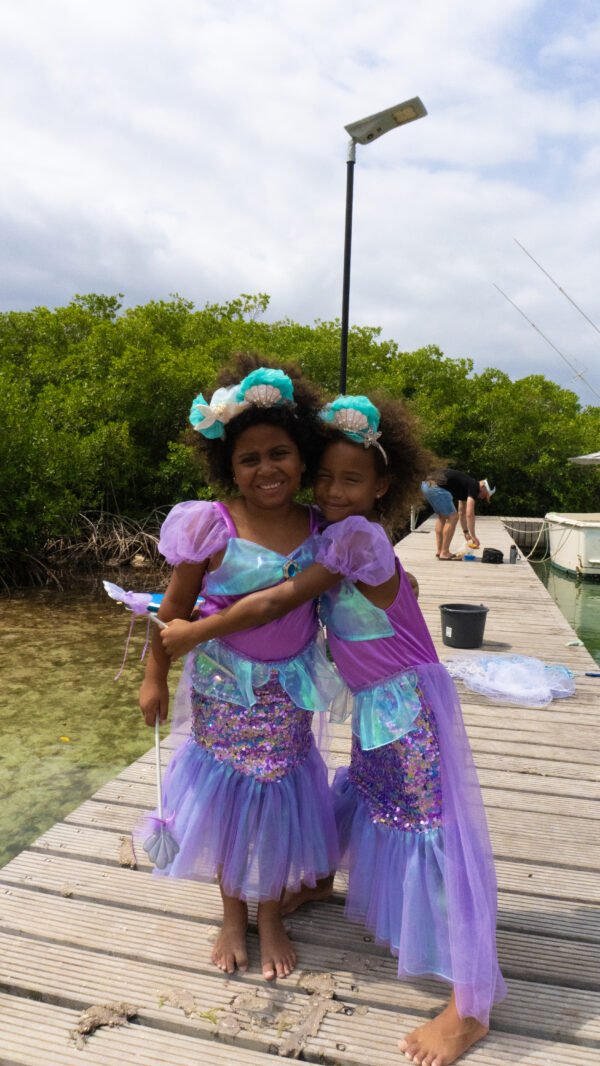 ariel prinsessenjurk met pailletten.