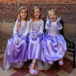 Prinsessenjurk Elsa Frozen paars