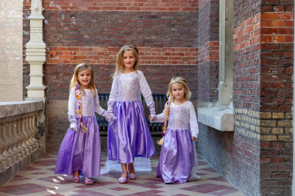 Prinsessenjurk Frozen Elsa paars