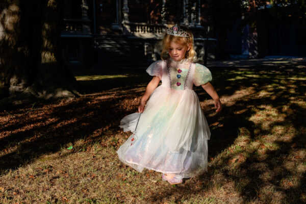 Prinsessenjurk regenboog 1