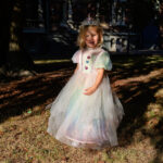 Prinsessenjurk regenboog 2