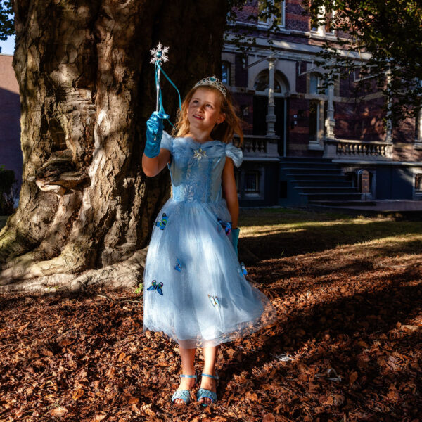 Prinsessenjurk Cinderella blauw 1