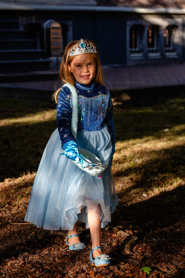 Prinsessenjurk Frozen Elsa donkerblauw 1