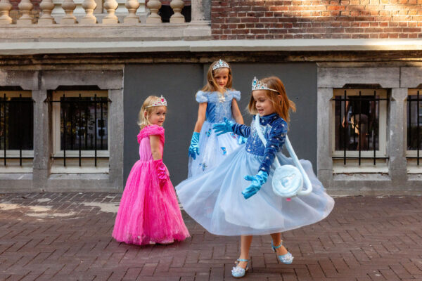 Prinsessenjurk Frozen Elsa donkerblauw 2
